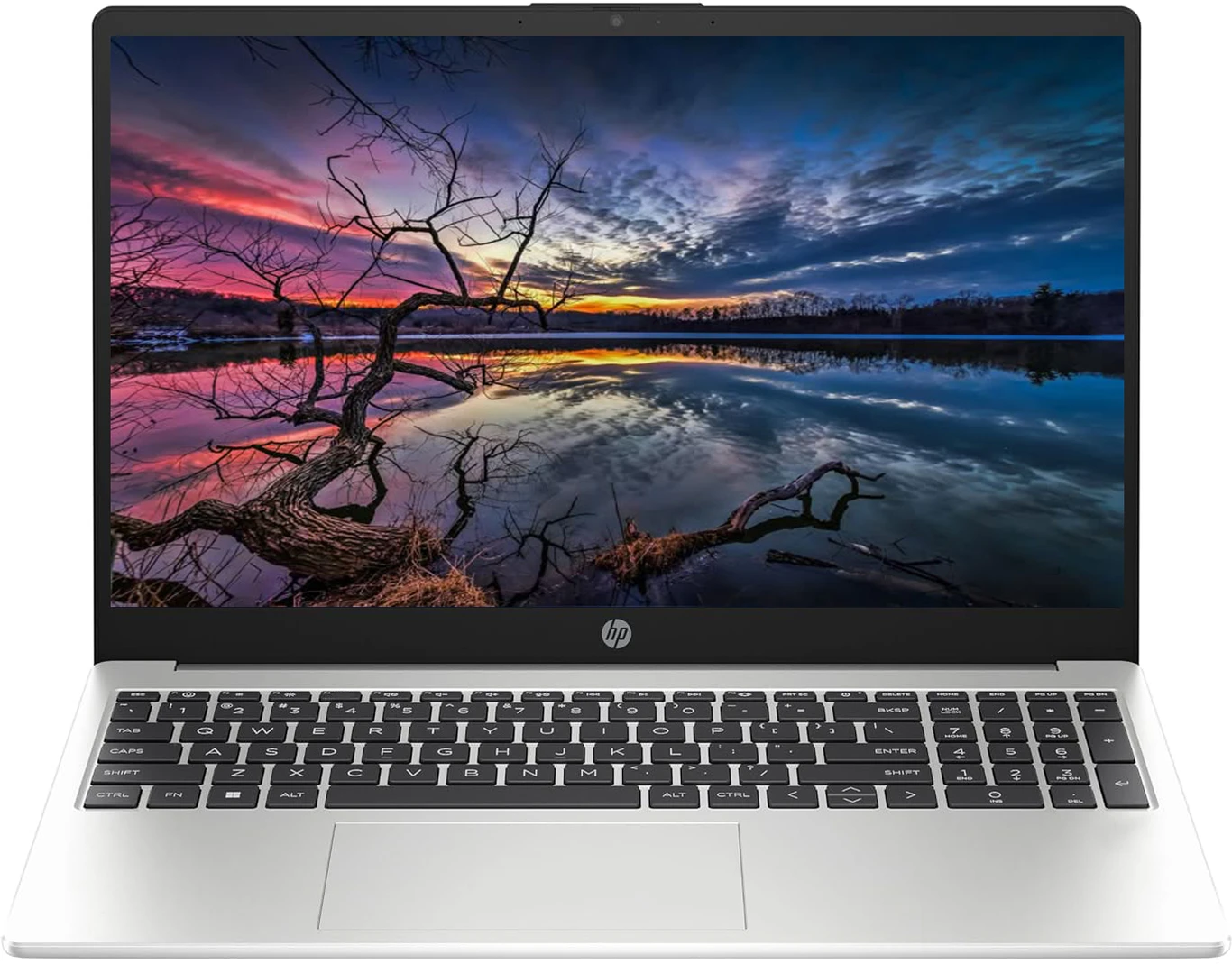 HP 250 G10 Backlit (2025) Professional Intel Core i5 13th Gen 1334U - (16 GB/512 GB SSD/Windows 11 Pro) 250 G10 Thin and Light Laptop (15.6 Inch, Turbo Silver, 1.5 kg, With MS Office)