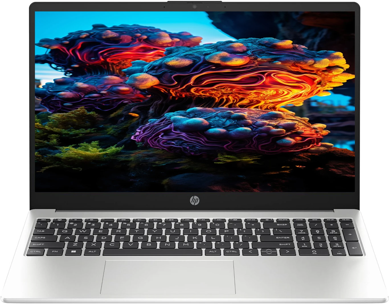 HP LAPTOP 250R G10 (CORE3/8GB/512GB)