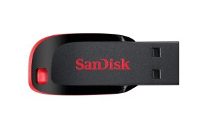 SANDISK Cruzer Blade 128GB, USB 2.0, Flash Drive, Pendrive, Red, 5Y Warranty (SDCZ50-128G-I35)
